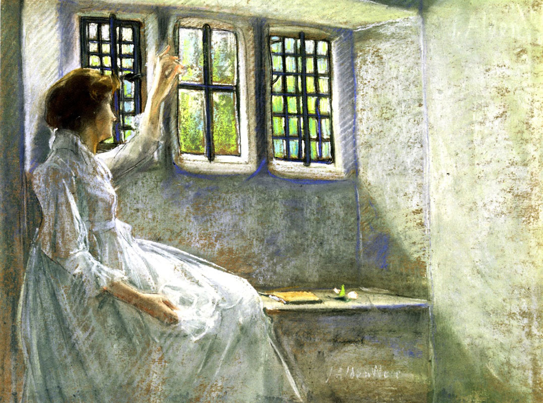 The Window Seat